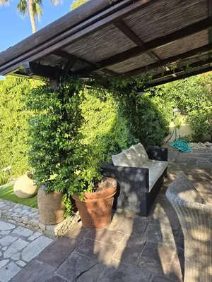 Jardin de l'établissement 1-Bedroom guesthouse with pool access