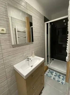 Salle de bains dans l'établissement Appartement Le Central Park