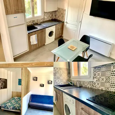 Cuisine ou kitchenette dans l'établissement Appartement Le Central Park