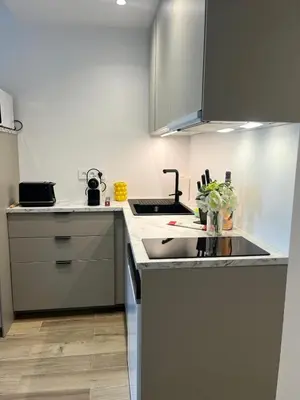 Cuisine ou kitchenette dans l'établissement La Belle Antiboise