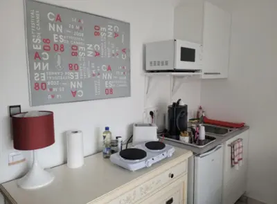 Cuisine ou kitchenette dans l'établissement Centre Cannes Victor Cousin