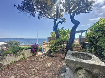 Plan de l'établissement 32m2 petite maison au bord de l'eau avec terrasse