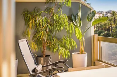 Plan de l'établissement Wonderful 2 bedroom facing the Croisette
