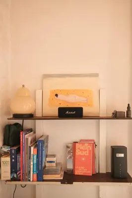 Bibliothèque dans l'appartement