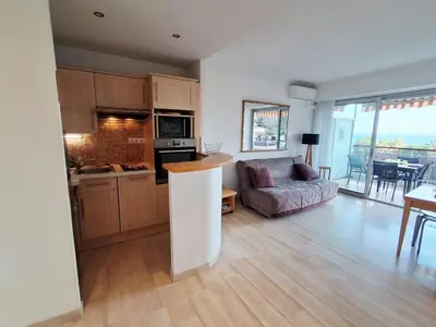 Cuisine ou kitchenette dans l'établissement Splendid sea view 4 people pool wifi air conditioning parking
