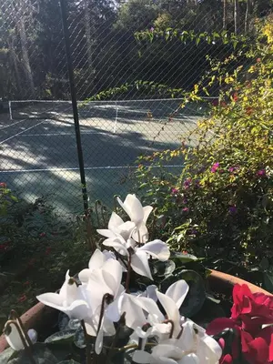 Tennis ou squash au sein de l'appartement ou à proximité