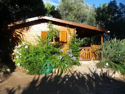 Jardin de l'établissement Studio Chalet tout confort
