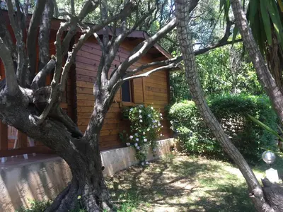 Jardin de l'établissement Studio Chalet tout confort