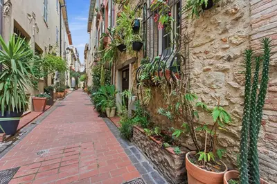 Jardin de l'établissement L'Azur Antibois - Charme confort