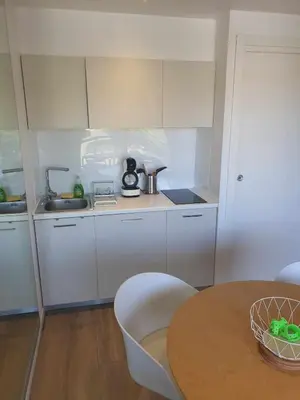 Cuisine ou kitchenette dans l'établissement Charment appartement à Golfe Juan