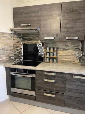 Cuisine ou kitchenette dans l'établissement Charming forest and river apartment in Sophia