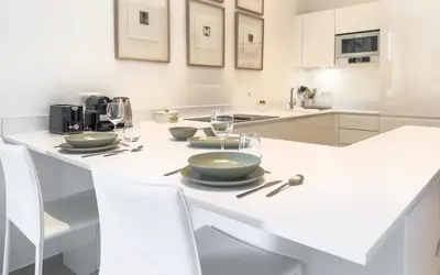 Cuisine ou kitchenette dans l'établissement 303 Le Gallia