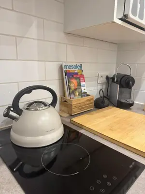 Cuisine ou kitchenette dans l'établissement Studio Design Climatisé Cœur de Cannes