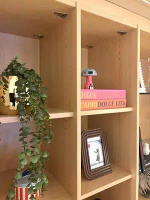 Bibliothèque dans l'appartement