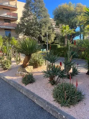 Jardin de l'établissement Eden Parc Tamaris 2