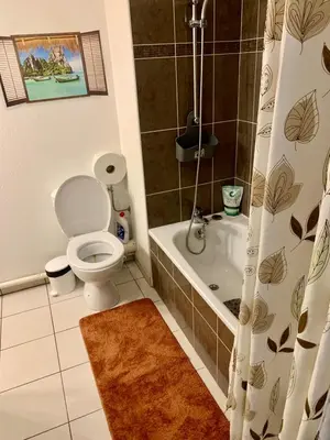 Salle de bains dans l'établissement Agréable 2 pièces climatisé parking gratuit