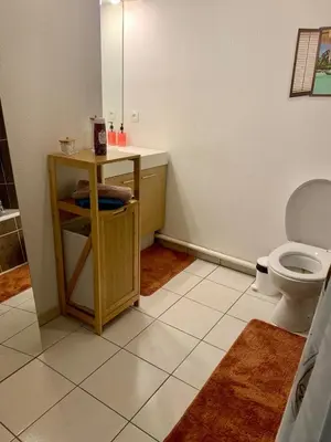 Salle de bains dans l'établissement Agréable 2 pièces climatisé parking gratuit