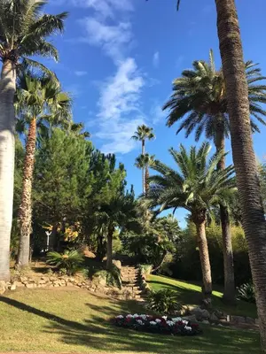 Jardin de l'établissement FRONT DE MER PANORAMIQUE Super Cannes