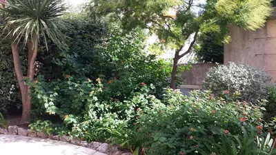 Jardin de l'établissement Central avec Jardin