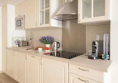 Cuisine ou kitchenette dans l'établissement Cannes Imperial Croisette Palais Miramar