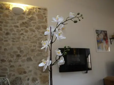 Télévision ou salle de divertissement dans l'établissement Vieille Ville 2 - La Petite Maison à Safranier, 2 bedrooms, max 4 adults and 2 kids