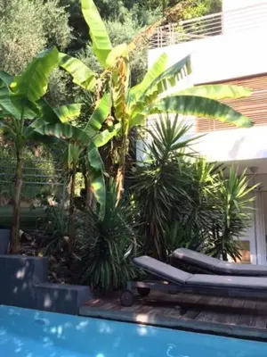 Piscine de l'établissement Villa Roi Albert 2 ou située à proximité