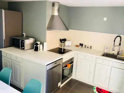 Cuisine ou kitchenette dans l'établissement Appt moderne Vieil Antibes 3 pièc