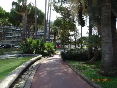Plan de l'établissement Palm beach Cannes Azur