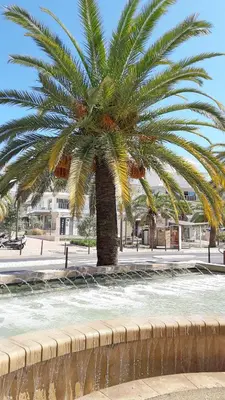 Plan de l'établissement Colorful Studio Cannes