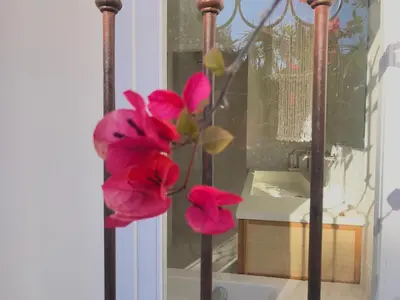 Plan de l'établissement Villa Riviera