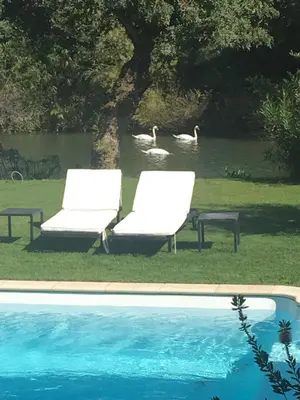 Piscine de l'établissement Villa Louise-Rose ou située à proximité
