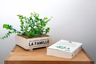 Plan de l'établissement Prime Location Hyper Center Ideal for Couples & Families - Walk Everywhere - SMART by Totolulucannes