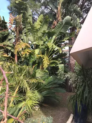 Jardin de l'établissement 19 Rue du Parc Alexandre III
