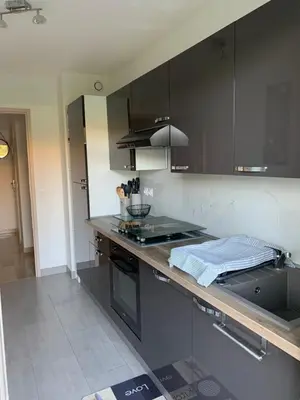 Cuisine ou kitchenette dans l'établissement Superbe 2 pièces moderne refait à neuf, PISCINE !