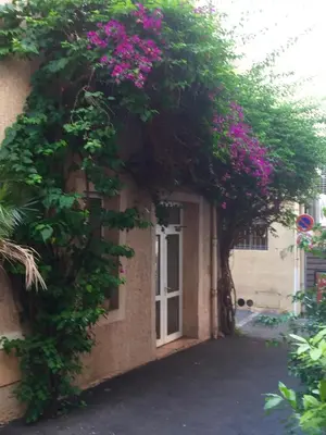 Jardin de l'établissement Appia Hotel