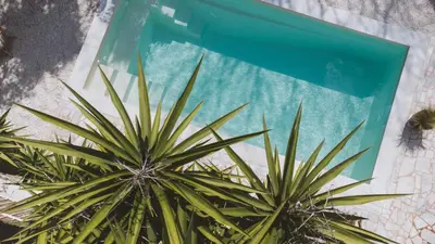 Piscine de l'établissement Hôtel Le Sud ou située à proximité