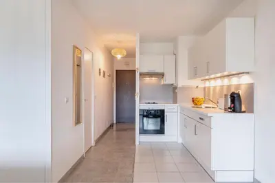 Cuisine ou kitchenette dans l'établissement Joli grand appartement terrasse lit 180X200 vue mer 10min plages