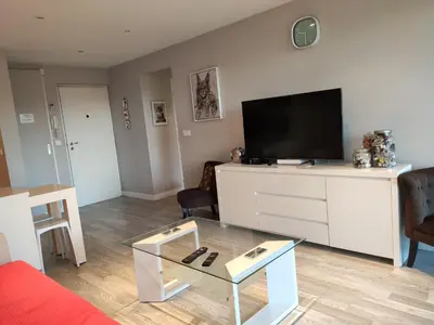 Télévision ou salle de divertissement dans l'établissement Très beau T2 dans parc montfleury ,proche centre ,au calme 44 bd Montfleury