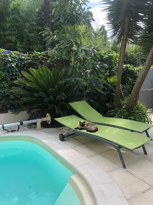 Jardin de l'établissement VILLA BEAUSEJOUR