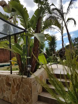 Jardin de l'établissement VILLA BEAUSEJOUR