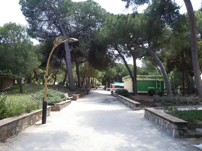 Jardin de l'établissement LE SAPHYR