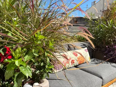 Jardin de l'établissement Irin Hotel