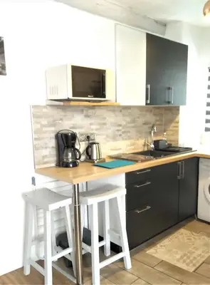 Cuisine ou kitchenette dans l'établissement Magnifique studio coeur Vieil Antibes