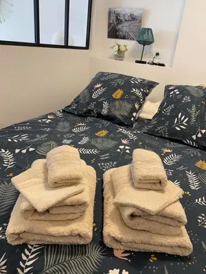 Un ou plusieurs lits dans un hébergement de l'établissement Studio 30 M2 Hyper centre, Neuf, Parking Gratuit, 3 Étoiles