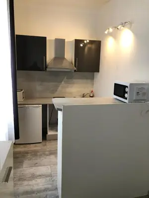 Cuisine ou kitchenette dans l'établissement Studios des Congrès et Festivals