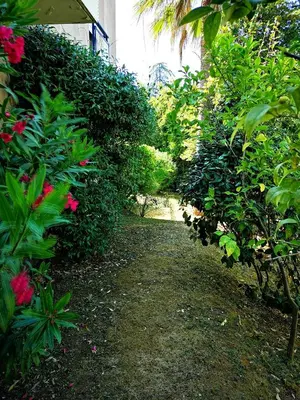 Jardin de l'établissement Plage la Salis 3 chambres, Jardin - 3 bedrooms