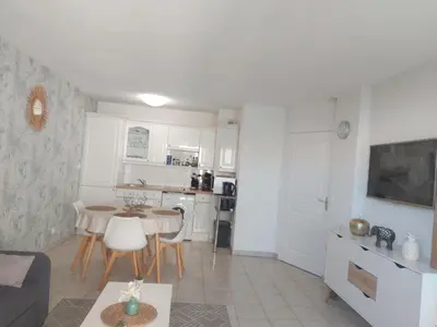 Cuisine ou kitchenette dans l'établissement Appartement Antibes juan les pins piscine et mer a 200m