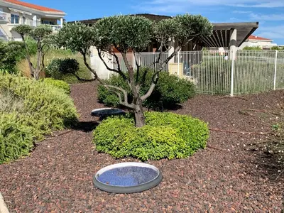 Jardin de l'établissement Juan Flore: Calme absolu à 100m de la plage