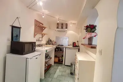 Cuisine ou kitchenette dans l'établissement villa stellaris
