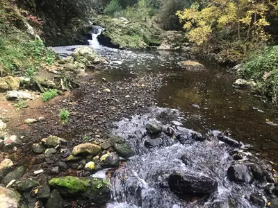 Paysage naturel près de l'appartement